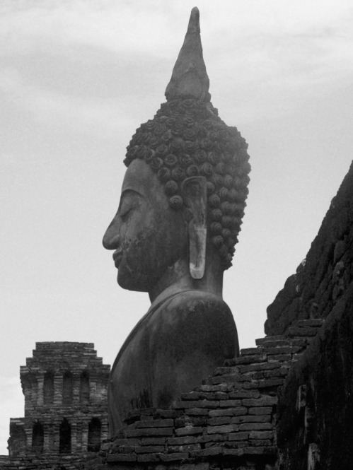 tête-bouddha-sukhothai